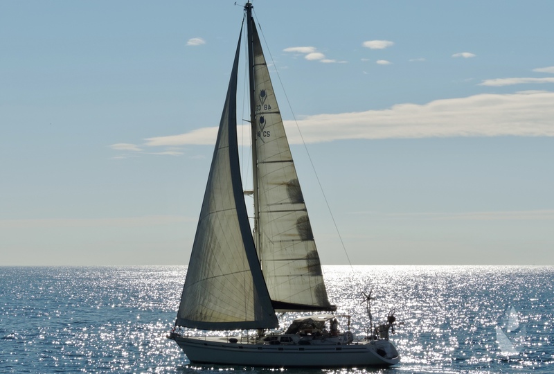 Contest 48CS Liberty Blue