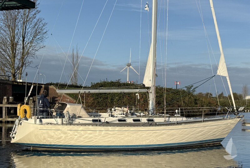 Jonmeri 40 Celeste jr